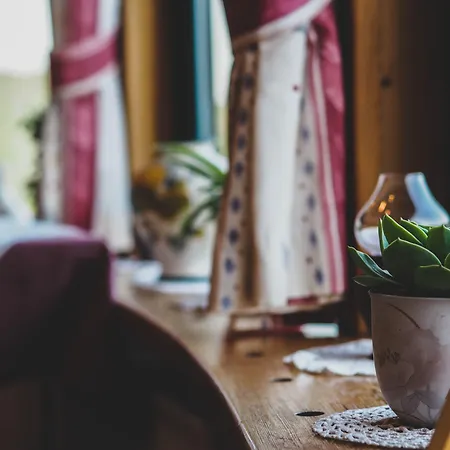 Inn Zum Moosmann - Familie Pachernigg