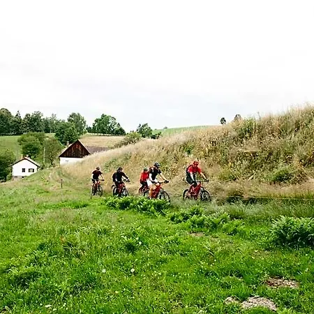 Mini-hôtel Zum Moosmann - Familie Pachernigg 3*